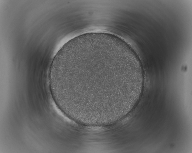 X0000112111382200909151214