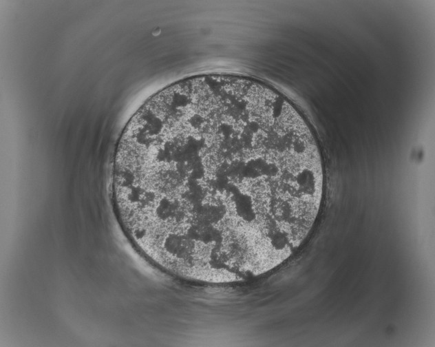X0000112111383200909151214