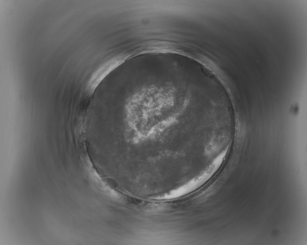 X0000112111385200909151214