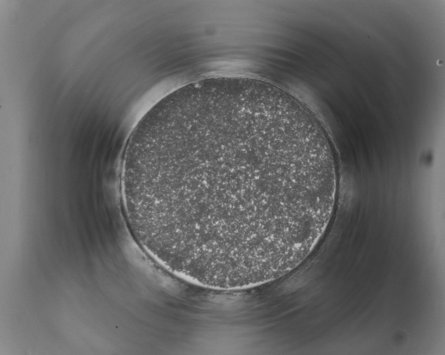 X0000112111386200909151214