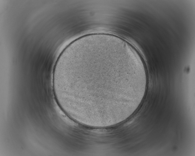 X0000112111388200909151214
