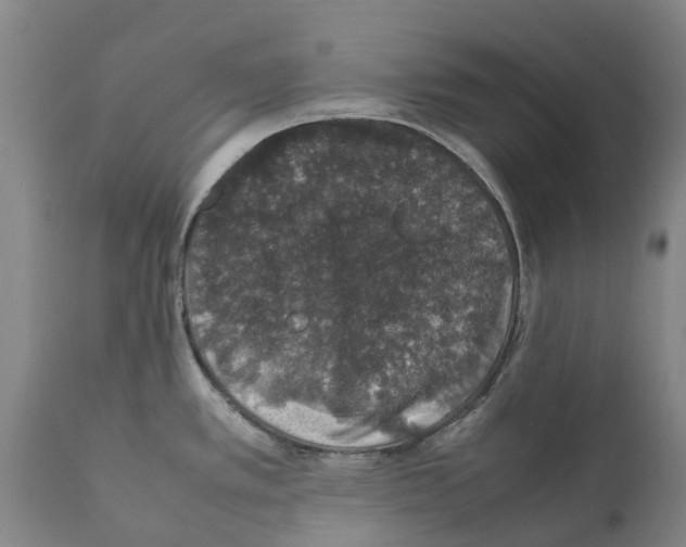 X0000112111389200909151214