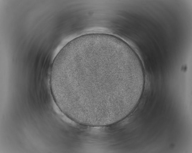 X0000112111390200909151214