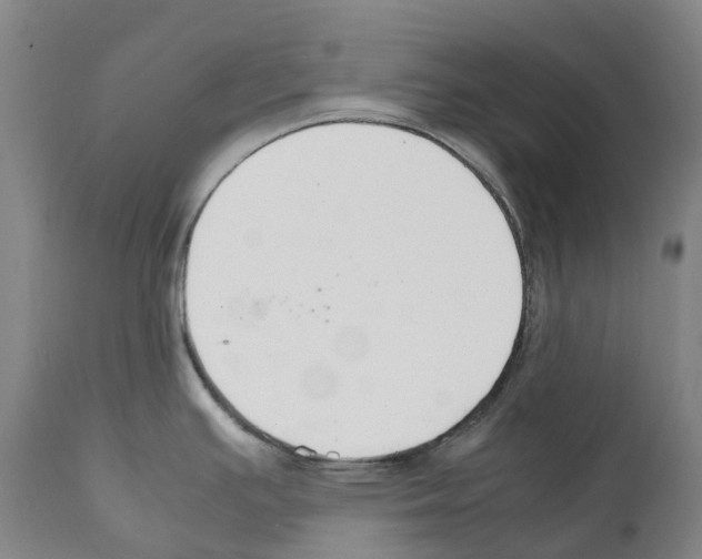 X0000112111391200909151214