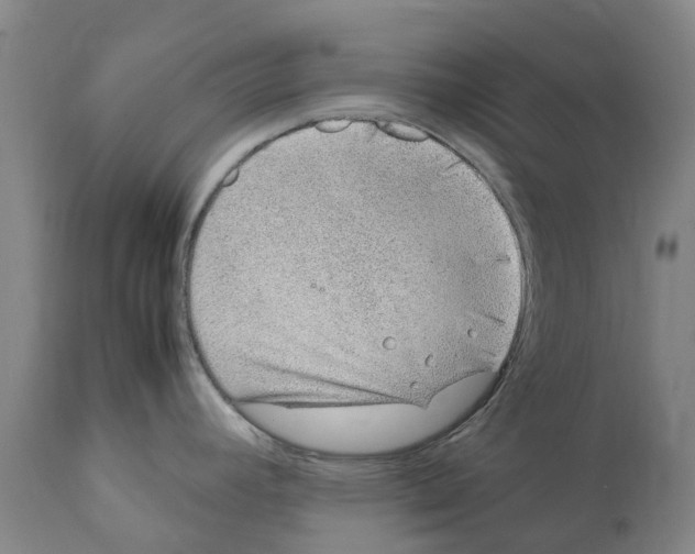 X0000112111392200909151214