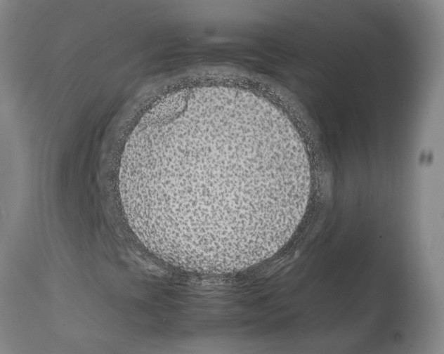 X0000112111393200909151213
