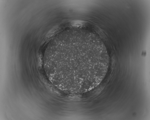 X0000112111394200909151213