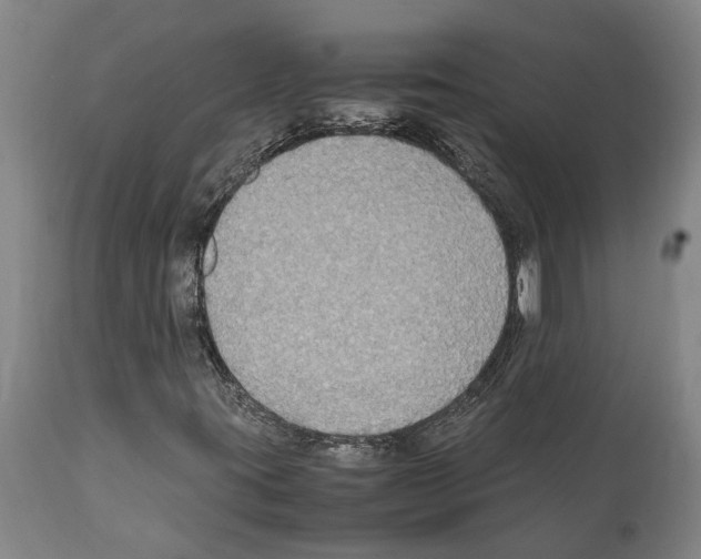 X0000112111395200909151213
