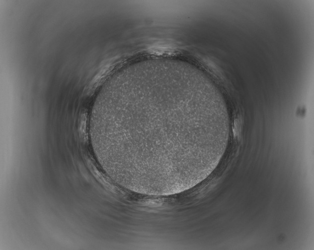X0000112111396200909151213