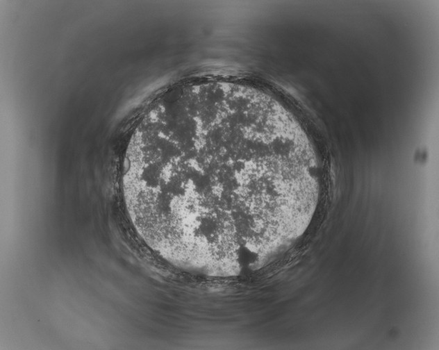 X0000112111399200909151213