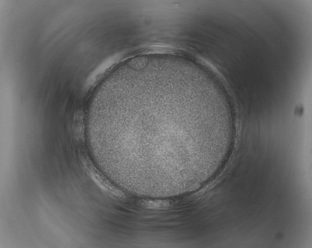 X0000112111403200909151213