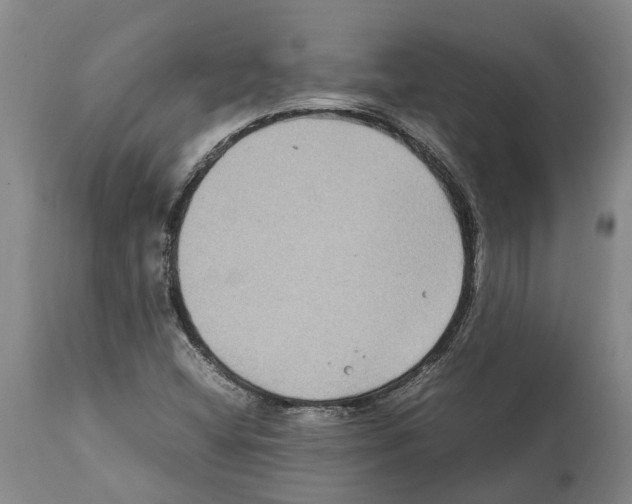 X0000112111404200909151213