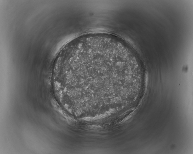 X0000112111405200909151213