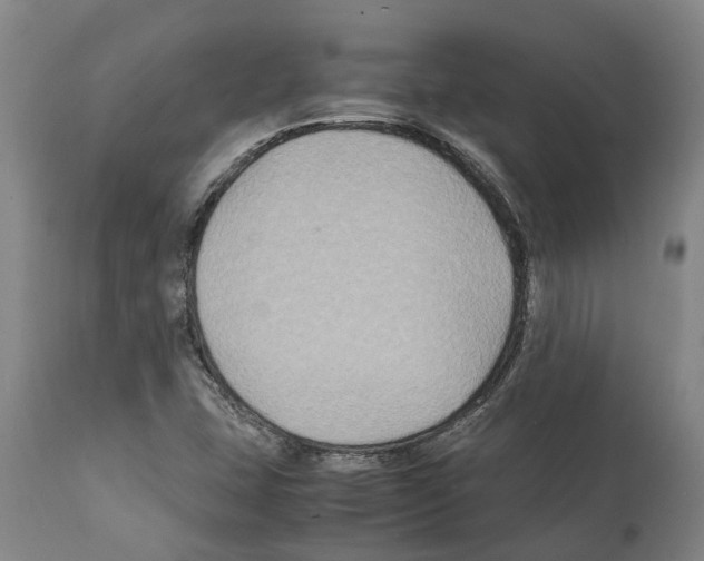 X0000112111407200909151213