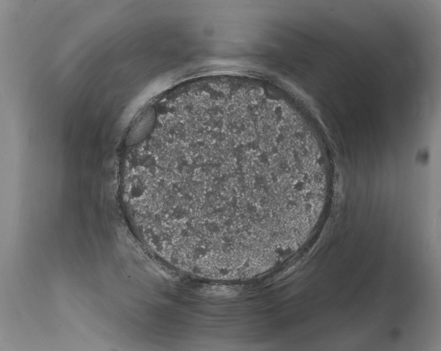 X0000112111411200909151213