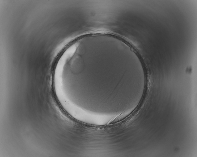 X0000112111414200909151213