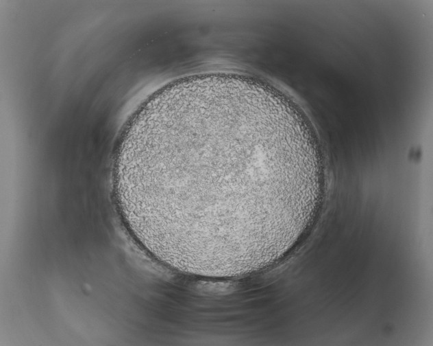 X0000112111415200909151214