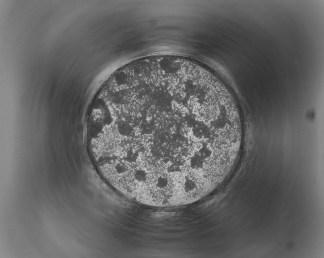 X0000112111419200909151214
