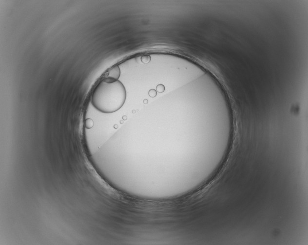 X0000112111420200909151214