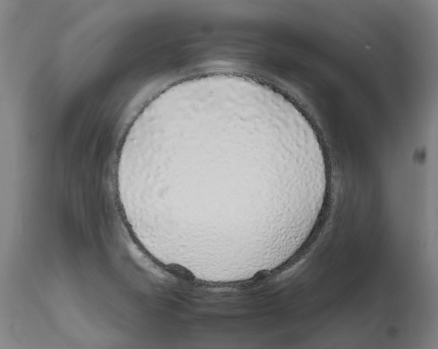 X0000112111421200909151214