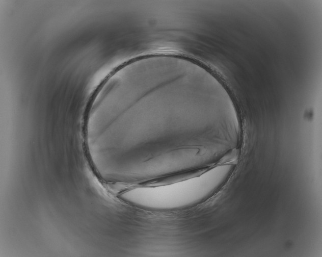X0000112111422200909151214