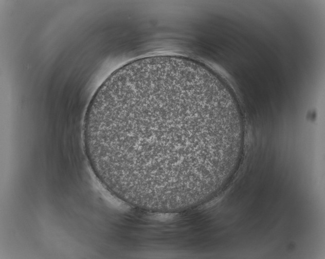 X0000112111423200909151214