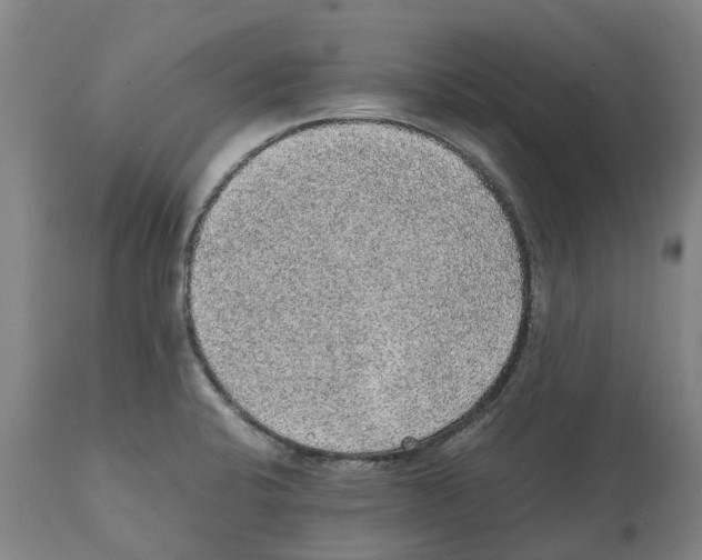 X0000112111424200909151214