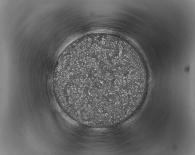 X0000112111425200909151214