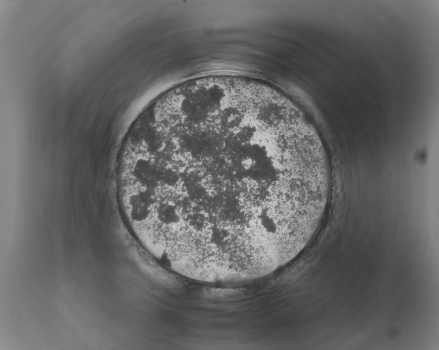 X0000112111427200909151214