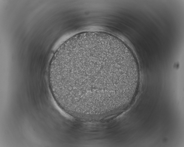 X0000112111429200909151214