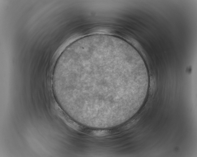 X0000112111435200909151214