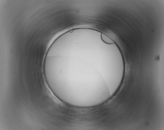 X0000112111436200909151214