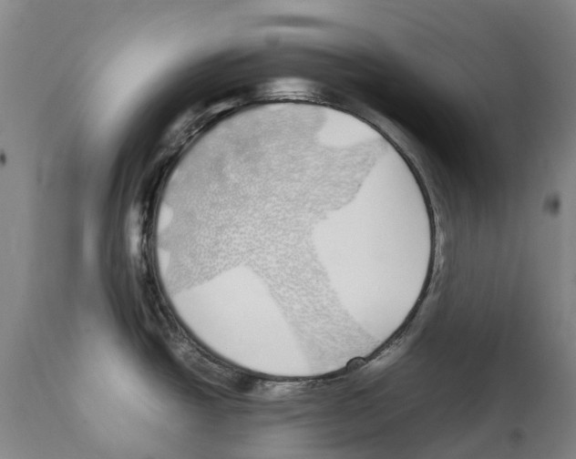 X0000112111438200909151214