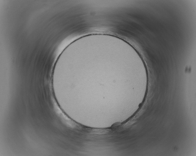 X0000112111440200909151214