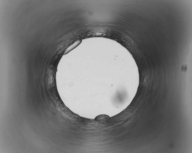 X0000112111442200909151213