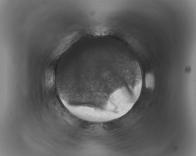 X0000112111444200909151213
