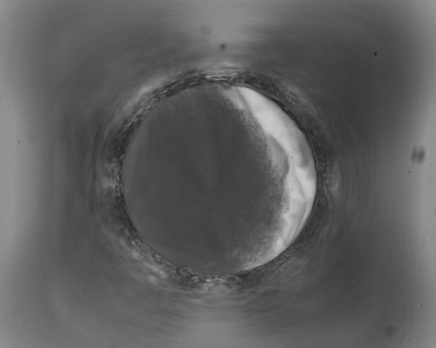 X0000112111445200909151213