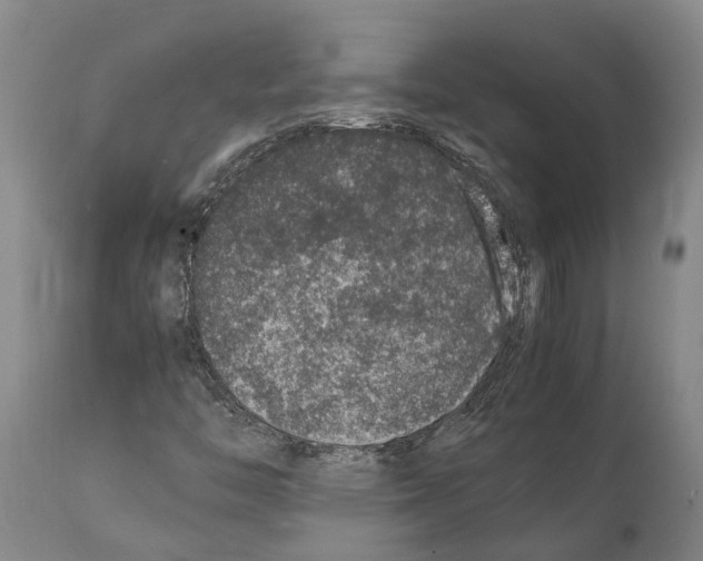 X0000112111446200909151213