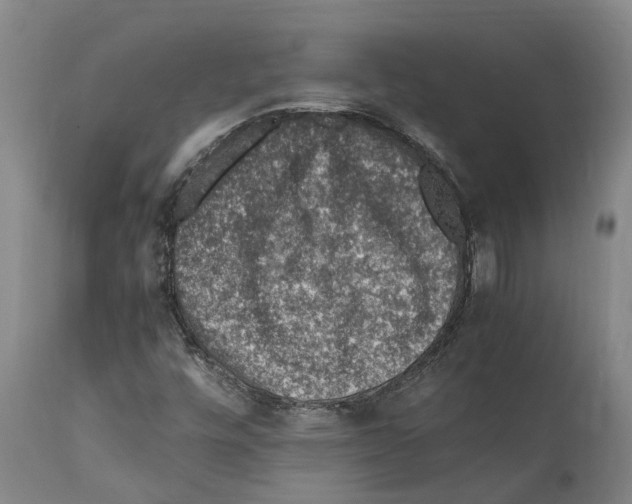 X0000112111448200909151213