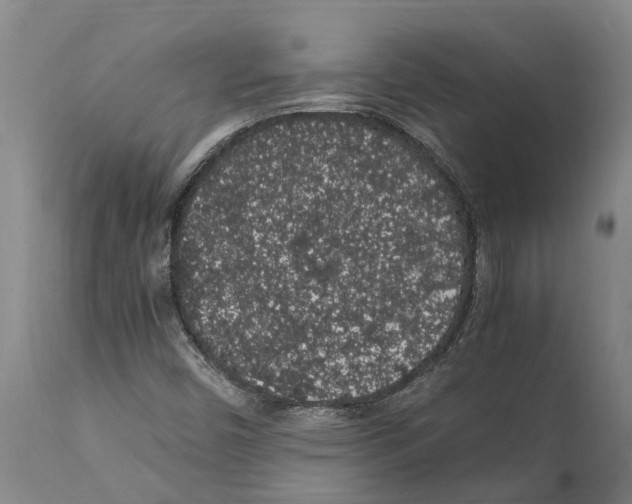 X0000112111450200909151213
