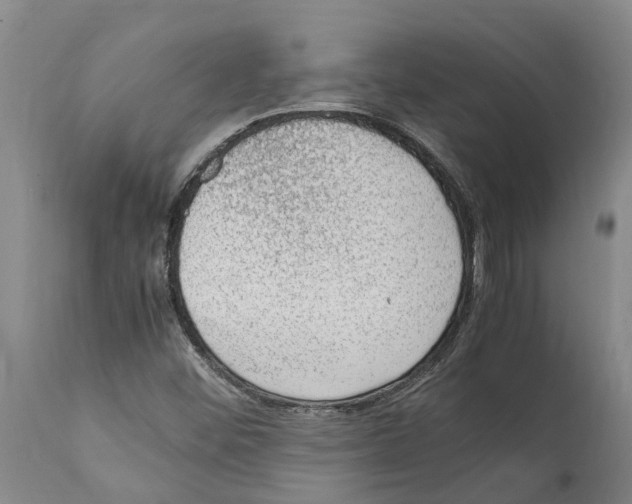 X0000112111452200909151213