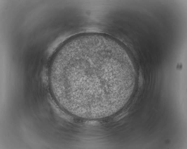 X0000112111454200909151213