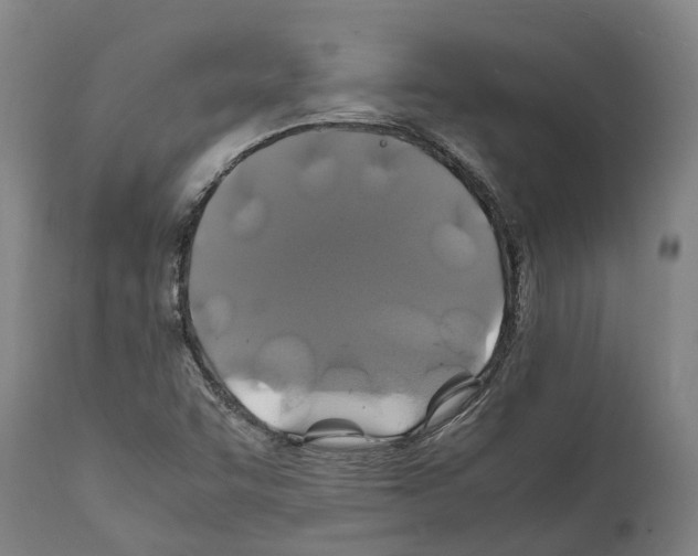 X0000112111455200909151213