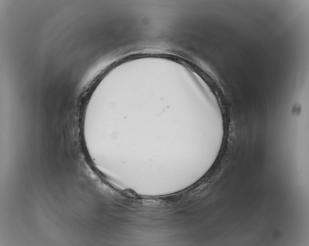X0000112111456200909151213