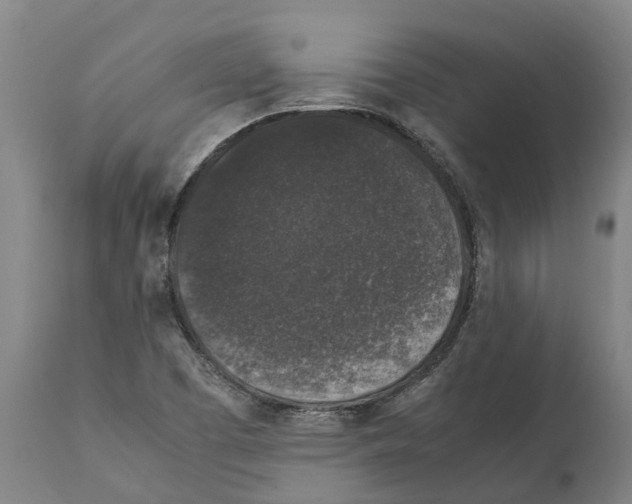 X0000112111457200909151213