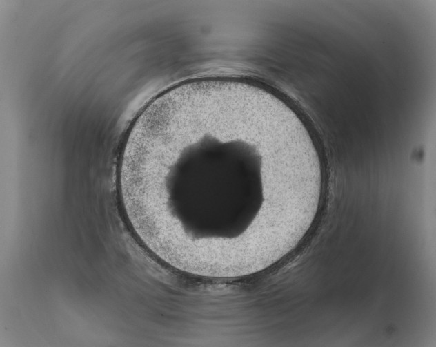 X0000112111459200909151213