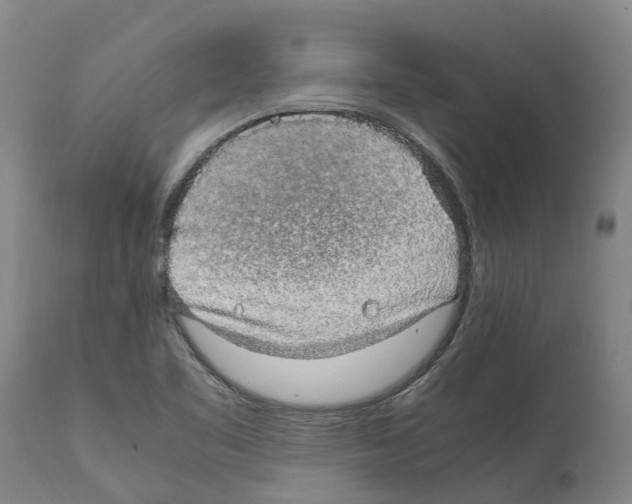 X0000112111461200909151213