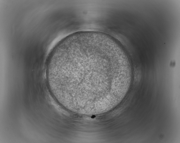 X0000112111462200909151213