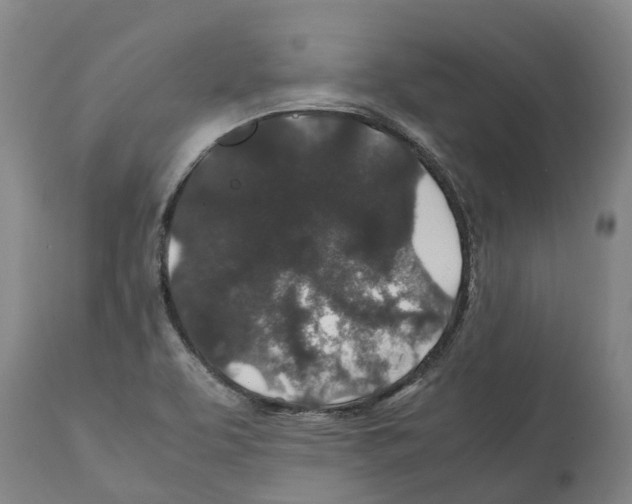 X0000112111463200909151213