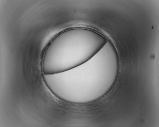 X0000112111464200909151213
